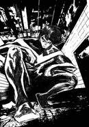 NIGHTWING