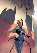 ABSOLUTE CATWOMAN