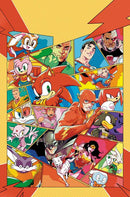DC X SONIC THE HEDGEHOG METAL LEGION