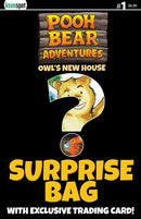 POOH BEAR ADVENTURES OWLS NEW HOUSE