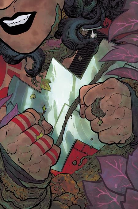ABSOLUTE WONDER WOMAN #14 CVR A HAYDEN SHERMAN (11/26/2025)