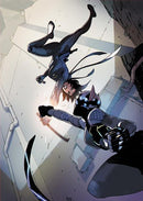 ABSOLUTE CATWOMAN