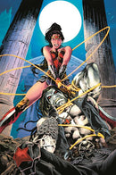 DC K.O. WONDER WOMAN VS LOBO