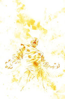 FURY OF FIRESTORM