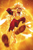 FURY OF FIRESTORM