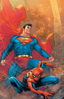 MARVEL/DC: SPIDER-MAN/SUPERMAN