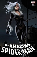 AMAZING SPIDER-MAN