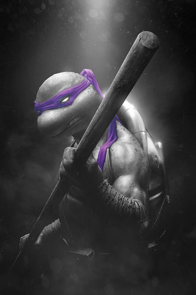 TEENAGE MUTANT NINJA TURTLES 2024