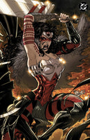 ABSOLUTE WONDER WOMAN