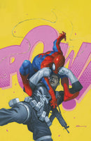 PUNISHER VS. SPIDER-MAN