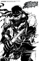 Zorro's Legacy