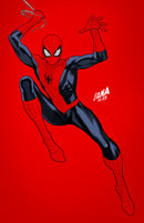 AMAZING SPIDER-MAN