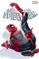 AMAZING SPIDER-MAN