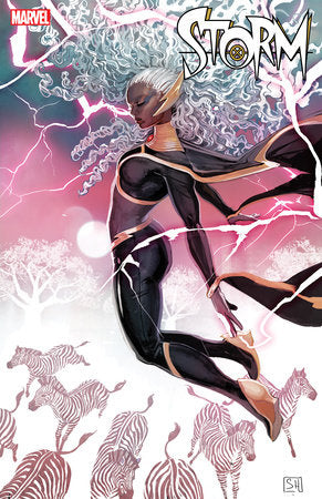 STORM #2 STEPHANIE HANS VARIANT[1:25] (11/20/2024) SHIPS 12/20/2024