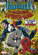 PUNISHER VS. SPIDER-MAN