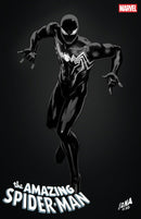AMAZING SPIDER-MAN