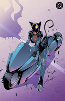 ABSOLUTE CATWOMAN