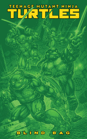 Teenage Mutant Ninja Turtles #13 Variant F (Blind Bag) (12/10/2025)