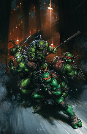 Teenage Mutant Ninja Turtles #13 Variant RI (50) (Crain Full Art)[1:50] (12/10/2025)