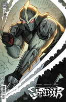 Teenage Mutant Ninja Turtles: Shredder