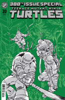 Teenage Mutant Ninja Turtles