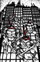 Teenage Mutant Ninja Turtles