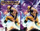WOLVERINE 24 [AXE] TONY DANIELS EXCLUSIVE VARIANT 2 PACK (9/7/2022) SHIPS 9/28/2022 BACKISSUE